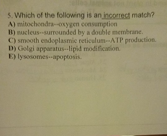 Which Of The Following Is An Incorrect Match Solved 5. Which of the following is an incorrect match? A) | Chegg.com