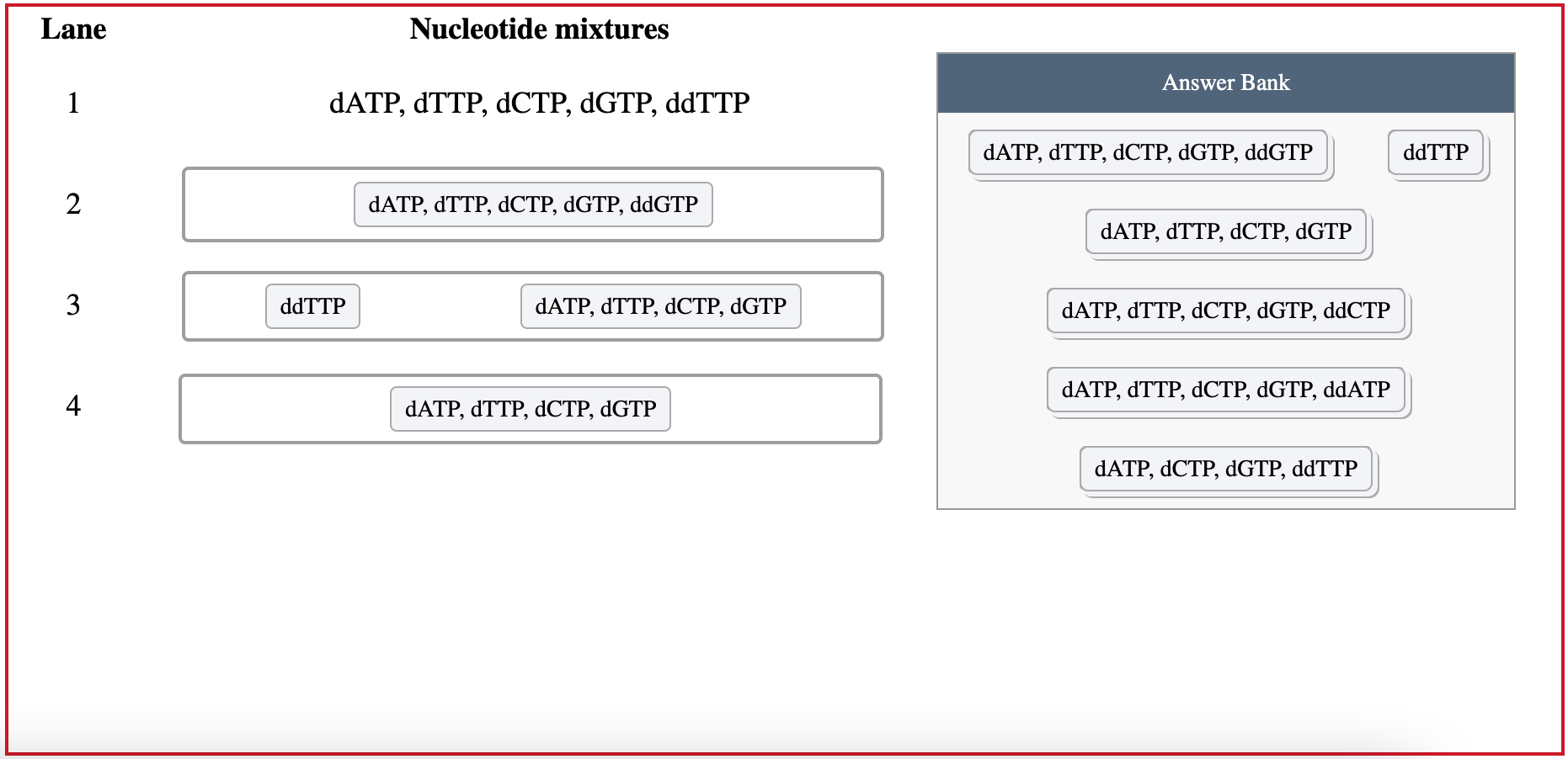 Solved She reacted a sample of the DNA with DNA polymerase | Chegg.com