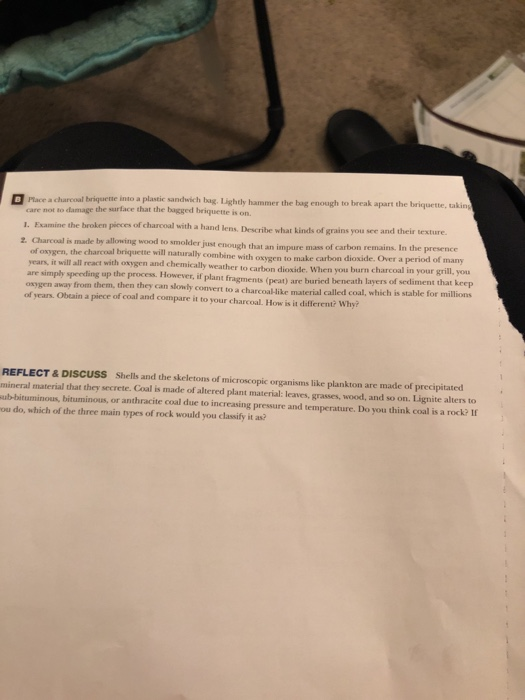 Solved Bioclastic Sediment And Coal Activity 6.4 | Chegg.com