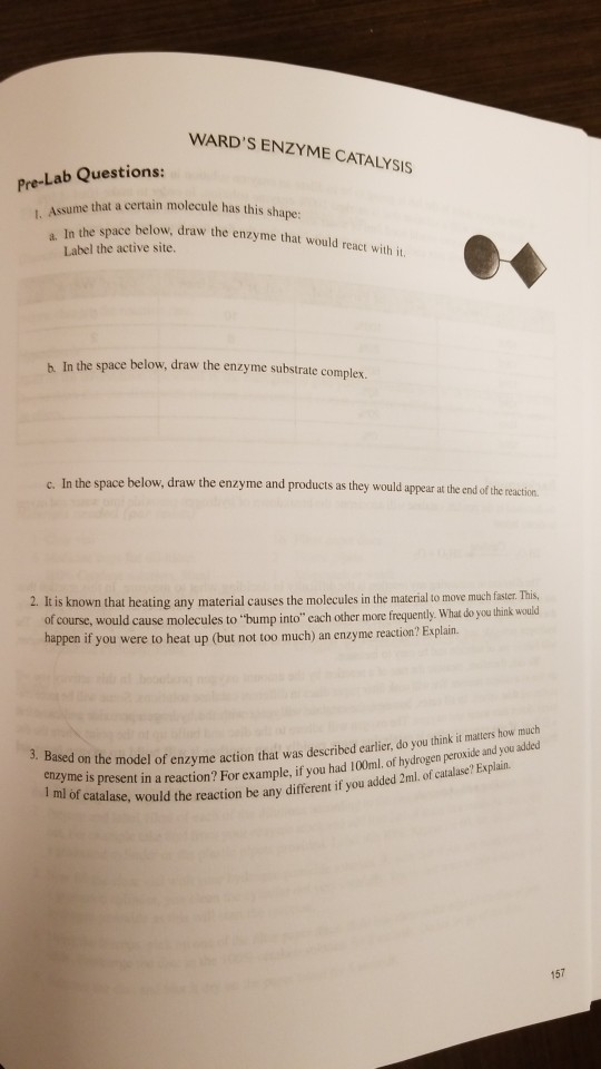 Solved WARD'S ENZYME CATALYSIS PreLab Questions Assume