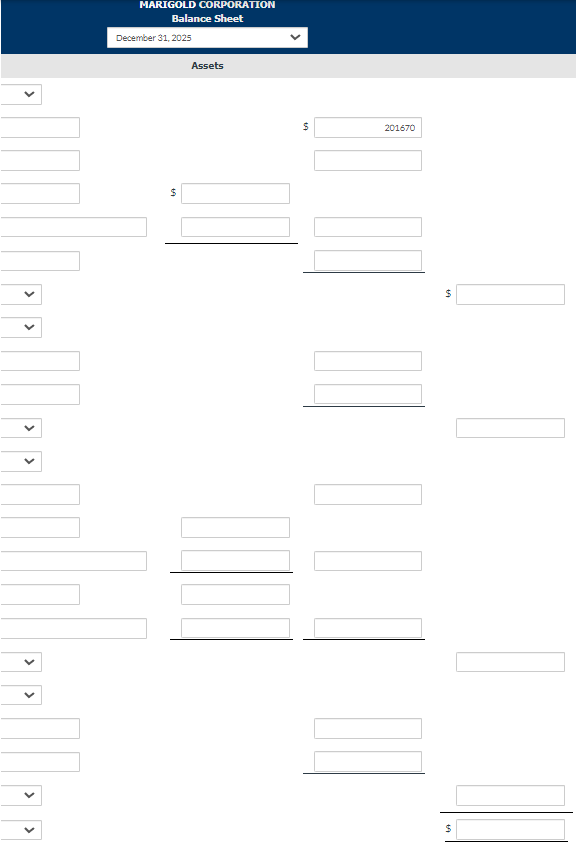 Solved MARIGOLD CORPORATION Balance Sheet December 31, 2025 | Chegg.com