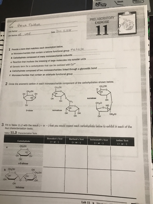 Solved PRELABORATORY EXERCISE Lab Partner a Monosaccharides | Chegg.com