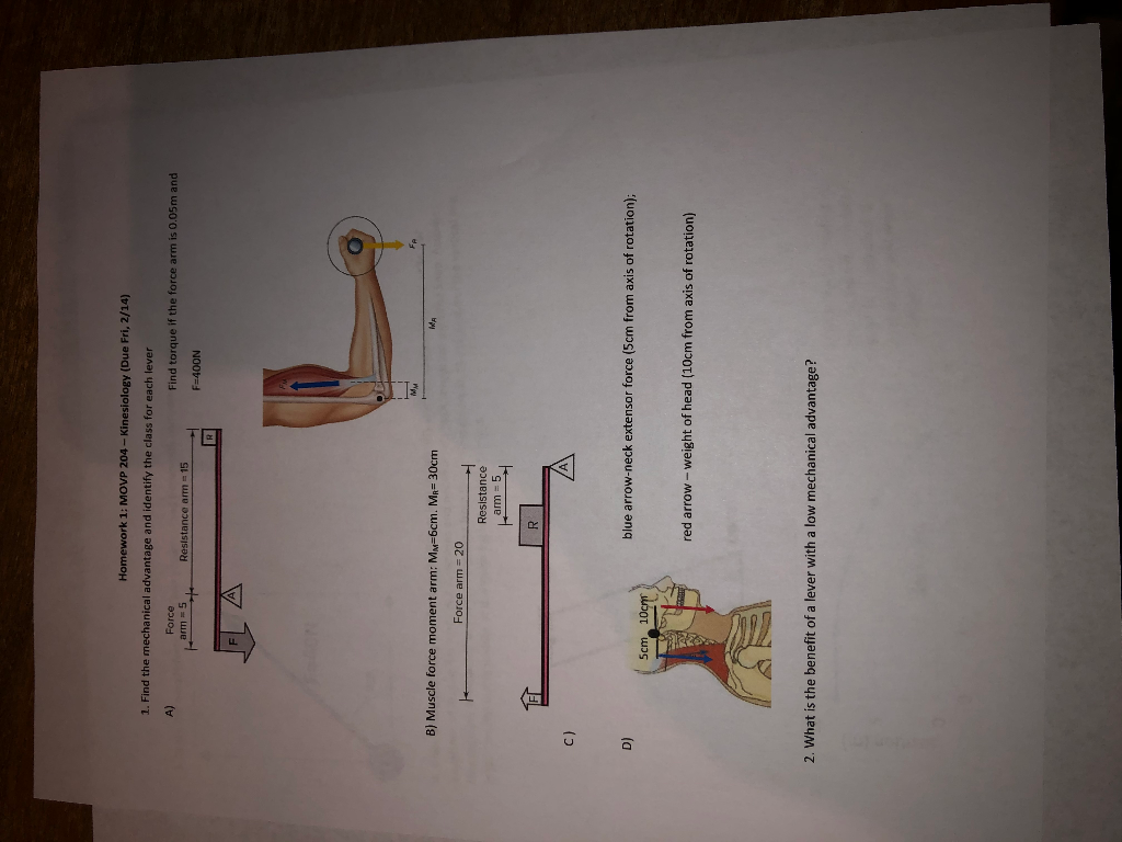 Solved Homework 1 MOVP 204 Kinesiology (Due Fri, 2/14) 1.