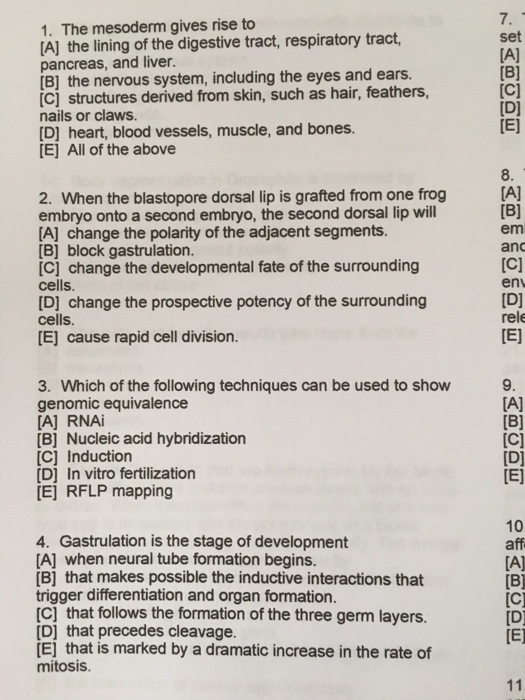 Solved The mesoderm gives rise to [A] the lining of the | Chegg.com