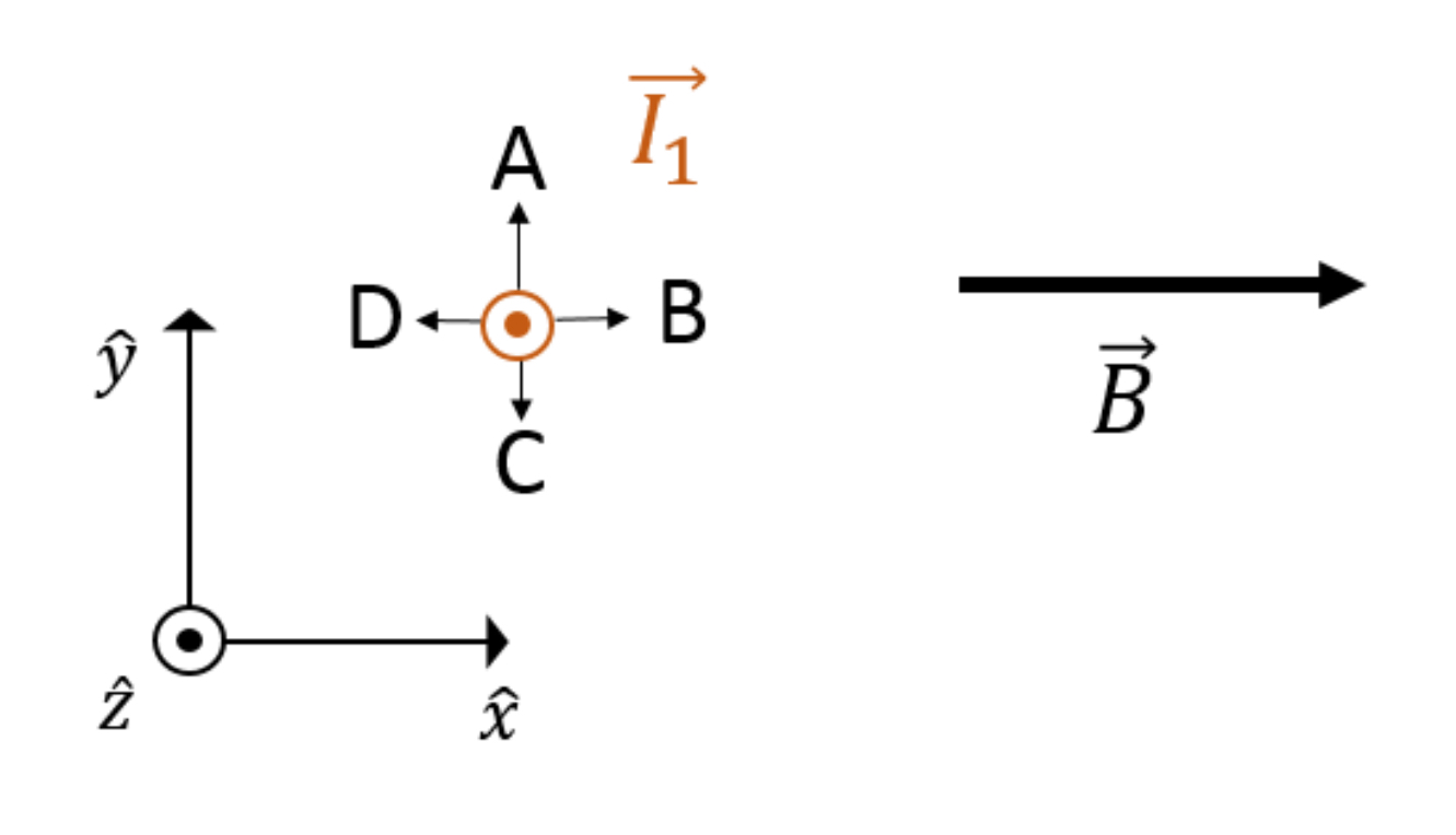 Solved A Section Of Wire Of Length 3 34 M Carrying Curren Chegg Com