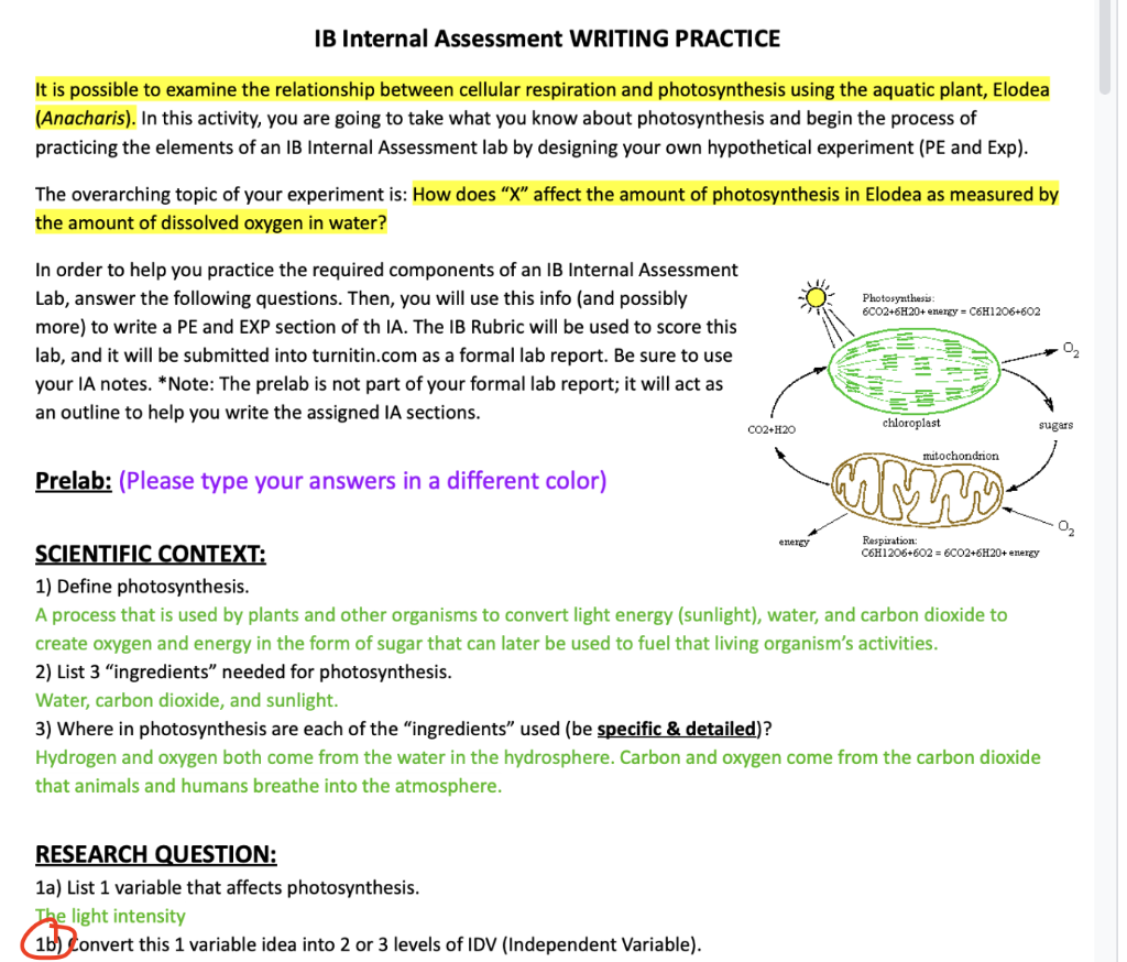 solved-ib-internal-assessment-writing-practice-it-is-chegg