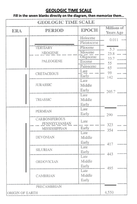 Solved GEOLOGIC TIME SCALE Fill in the seven blanks directly | Chegg.com