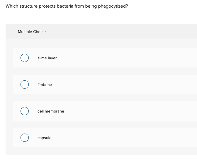 Solved Which Structure Protects Bacteria From Being | Chegg.com