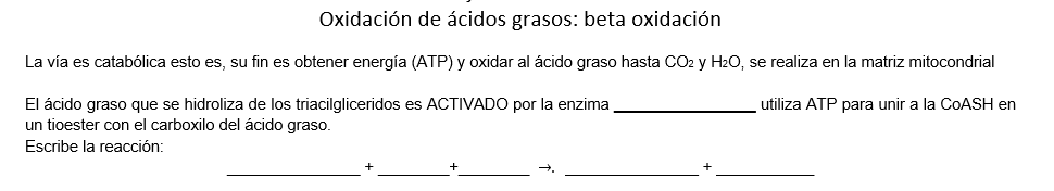 Oxidación de ácidos grasos: beta oxidación La vía es catabólica esto es, su fin es obtener energía (ATP) y oxidar al ácido gr