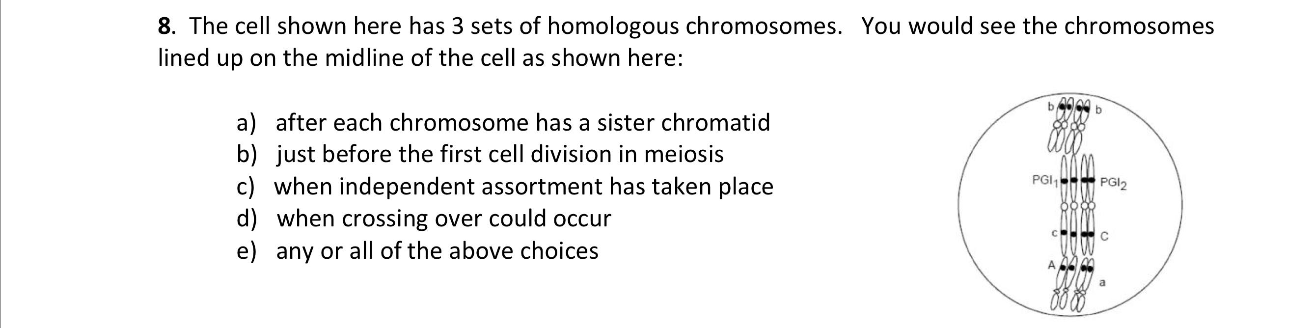 Solved 8. The cell shown here has 3 sets of homologous | Chegg.com