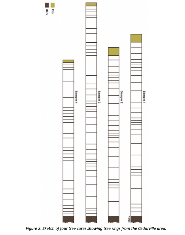 Solved Bark Pith Sample 4 Sample 3 Sample 2 Sample 1 1993 | Chegg.com