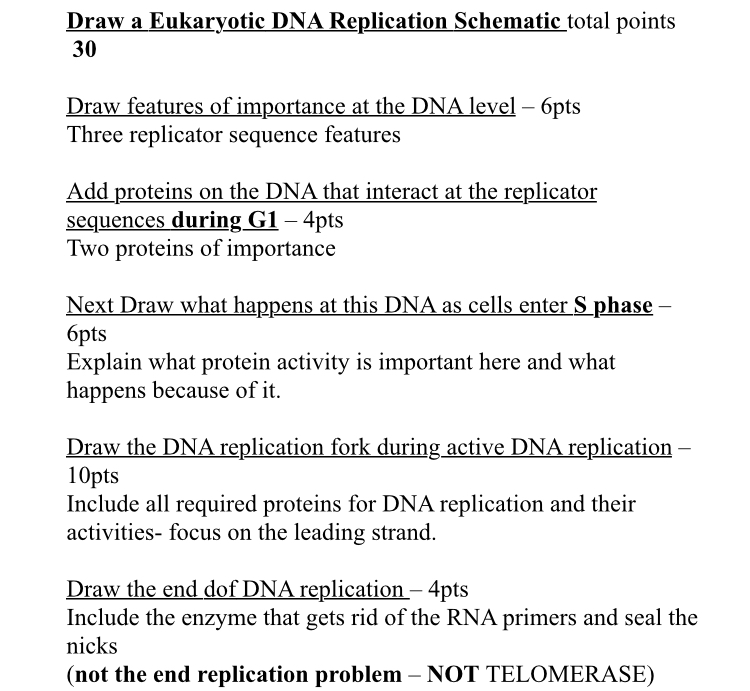 Solved Draw a Eukaryotic DNA Replication Schematic total