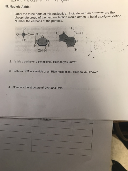 Solved III. Nucleic Acids Label the three parts of this