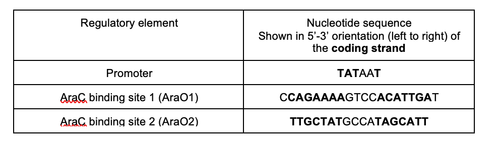 The W88C Mutation of Kibra Impairs Its Binding to Dendrin (A