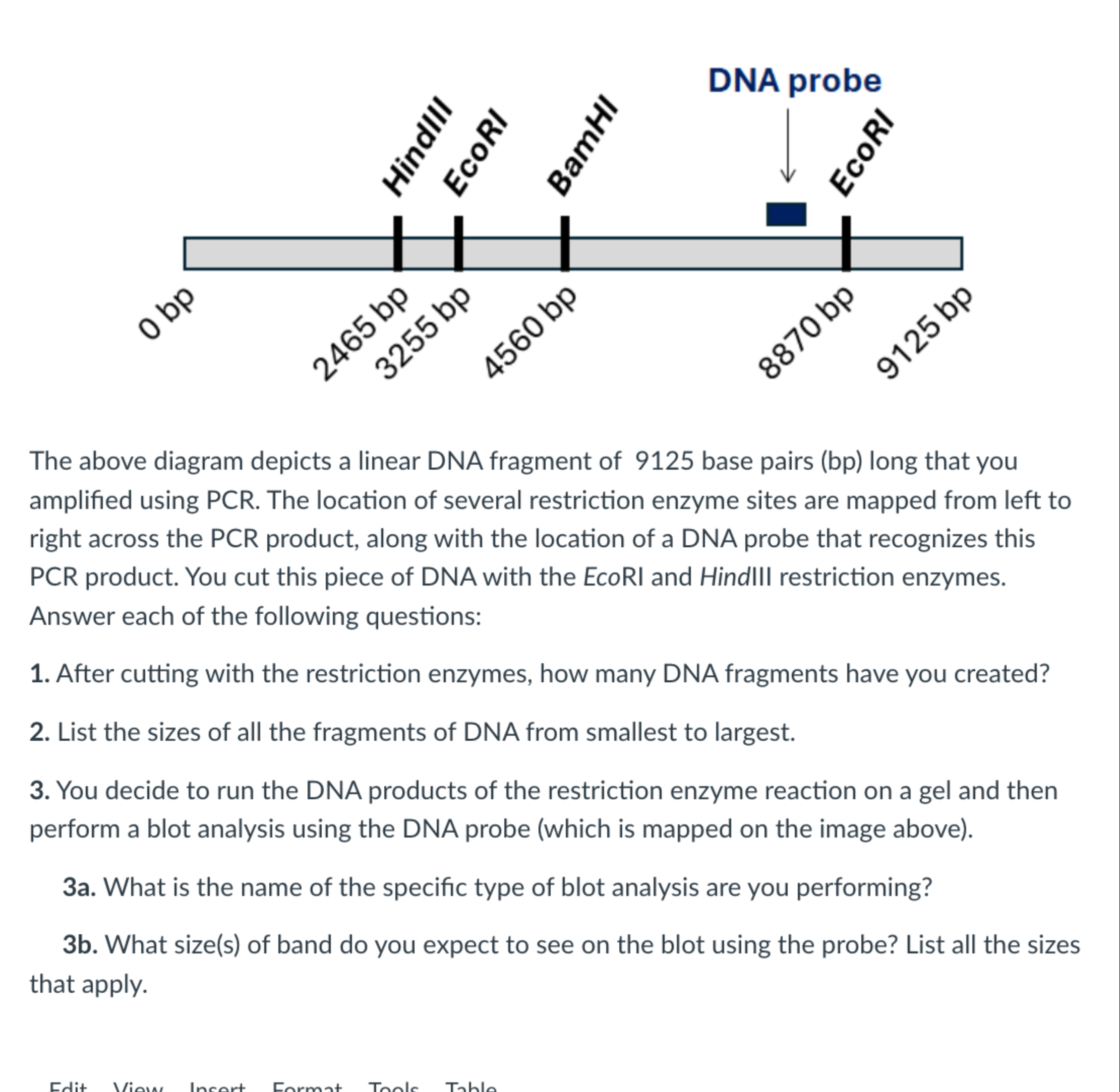 Solved The above diagram depicts a linear DNA fragment of | Chegg.com