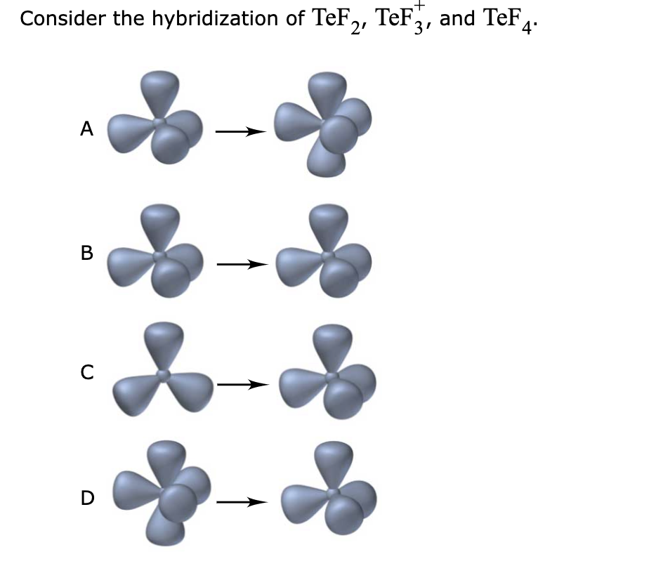 Solved Consider the hybridization of TeF2, TeF3+, and TeF4. | Chegg.com