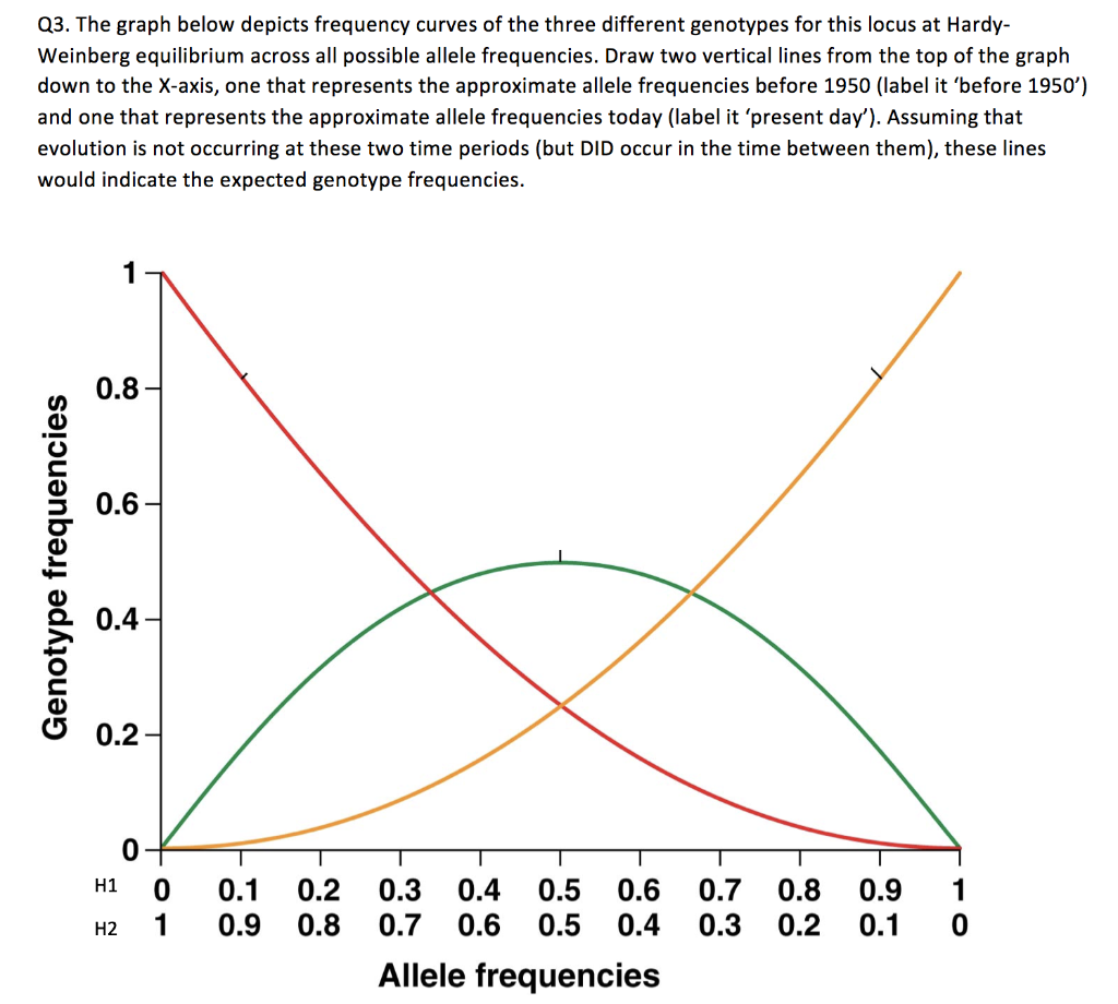 Genetic Equilibrium Graph