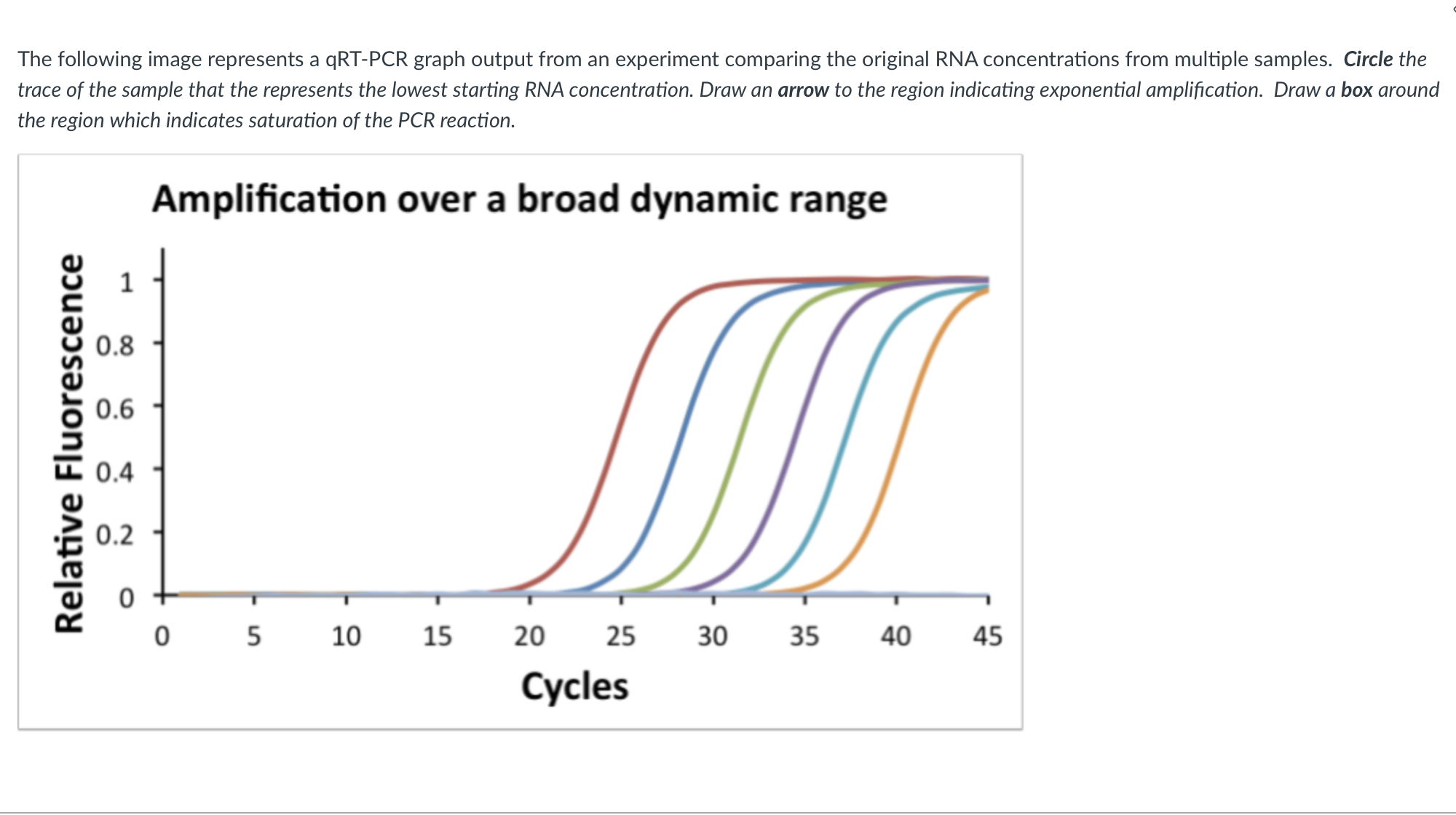 Solved The following image represents a qRT-PCR graph output | Chegg.com