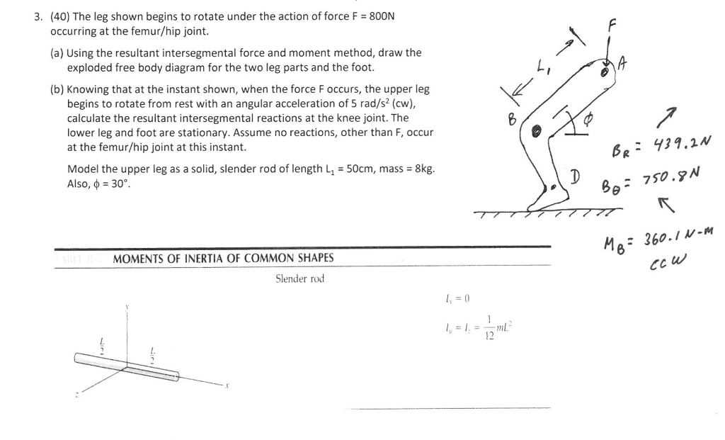 Solved 3. (40) The leg shown begins to rotate under the | Chegg.com