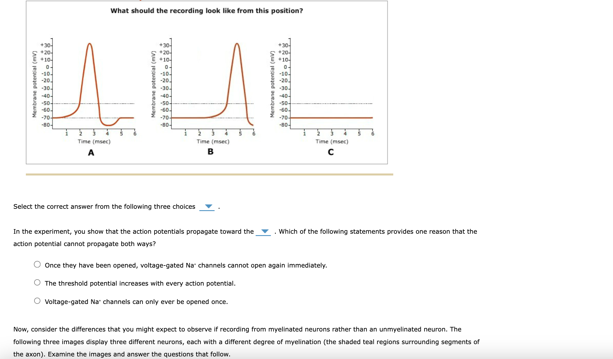 Solved 3. Action potential propagation and myelin sheaths | Chegg.com