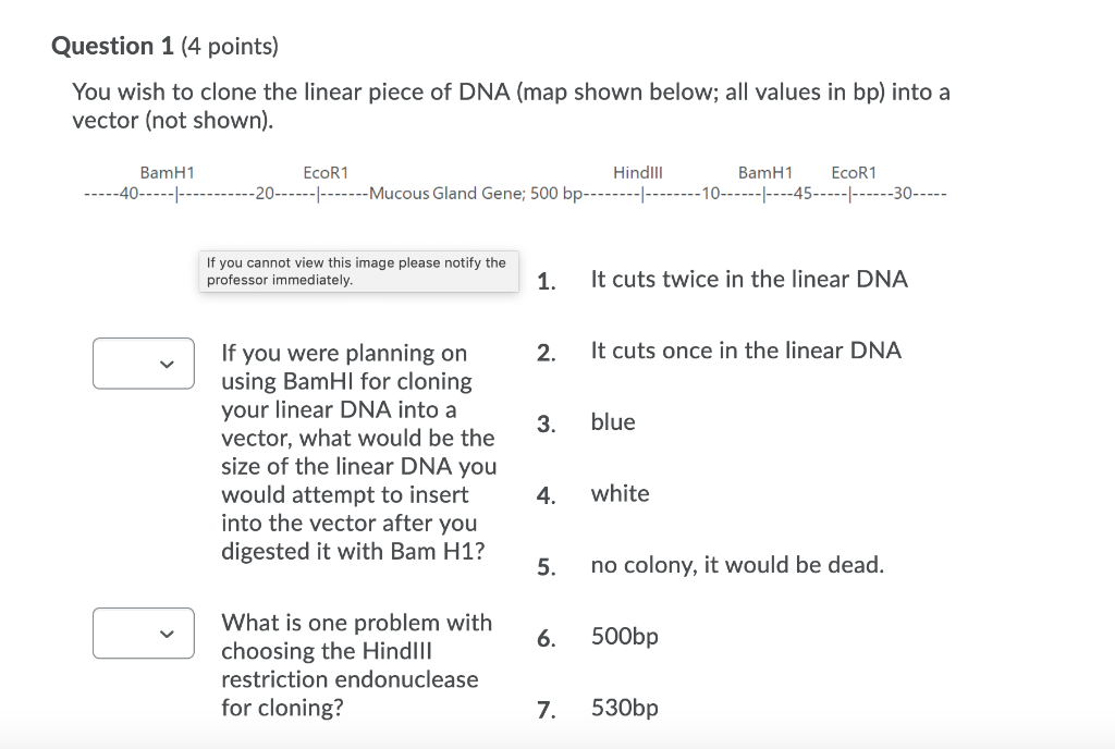Solved You wish to clone the linear piece of DNA (map shown | Chegg.com