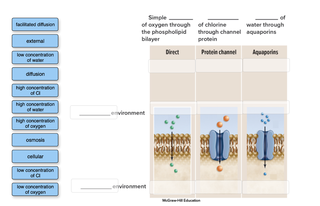 Solved Label types of passive diffusion Label the image