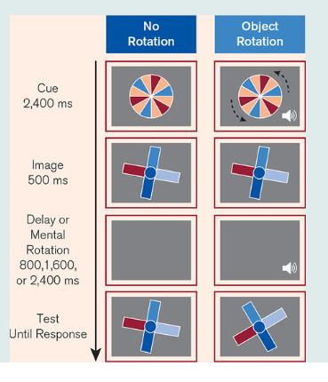 Solved Xu, Y., & Franconeri, S. L. (2015). Capacity for | Chegg.com