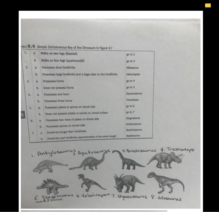 questions about dinosaurs and answers