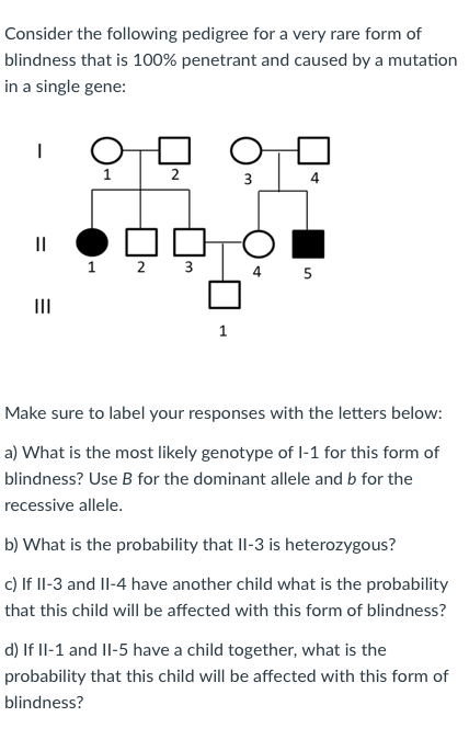 Solved Consider the following pedigree for a very rare form | Chegg.com