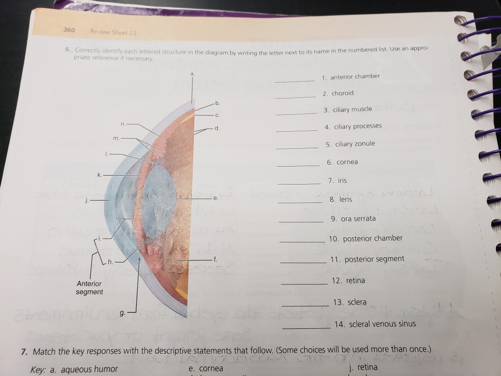 Solved 360 Review Sheet 23 6. Correctly Identify Each | Chegg.com