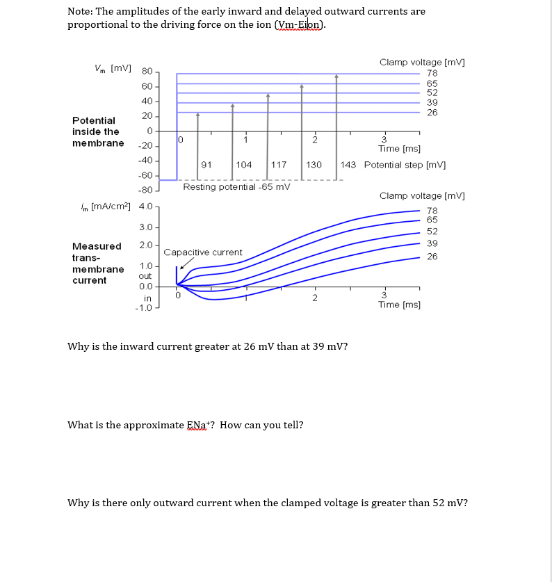 Note: The amplitudes of the early inward and delayed | Chegg.com