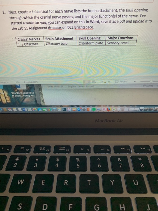 Solved Next, create a table that for each nerve lists the | Chegg.com