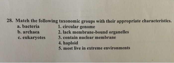 Solved 28. Match the following taxonomic groups with their | Chegg.com