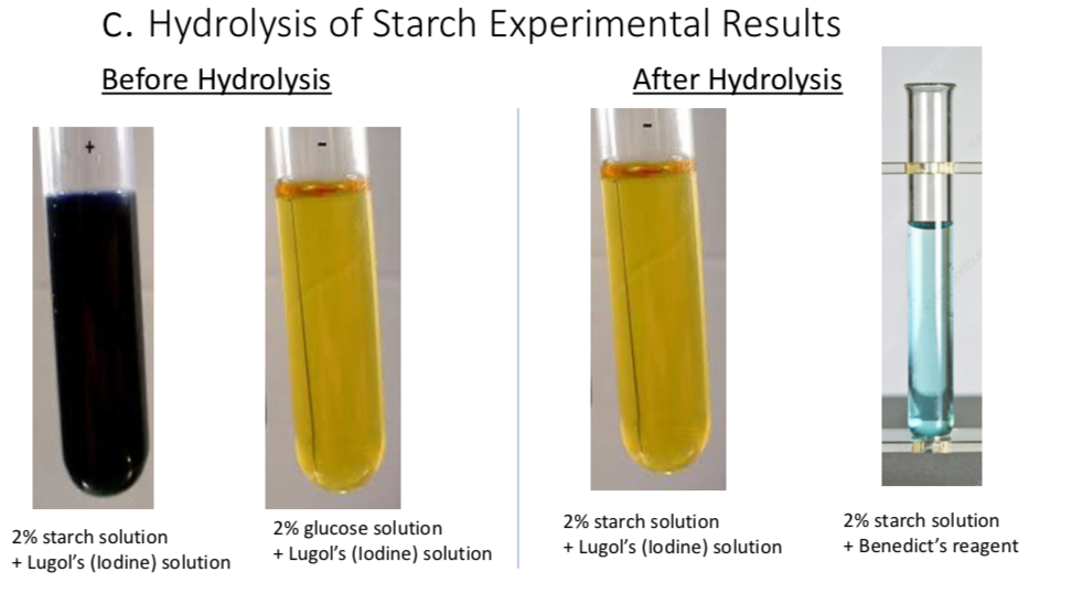 A. Experimental Result Testing for Reducing Sugar 1.