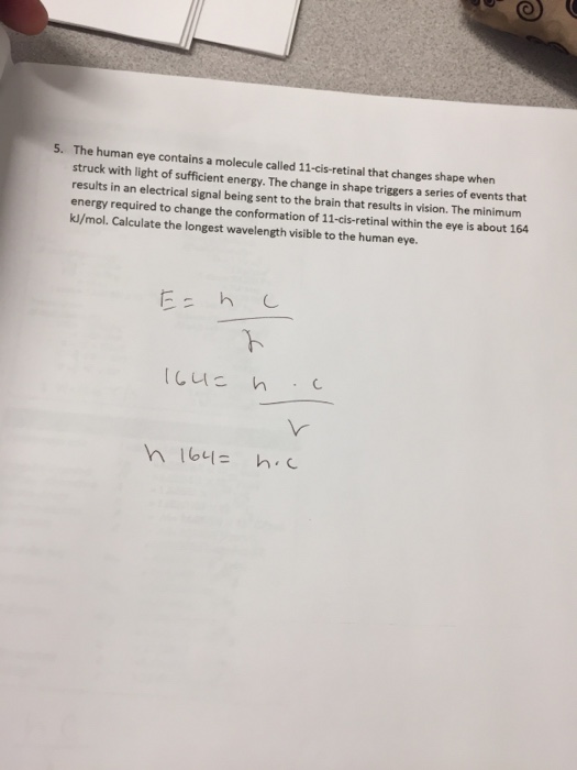 solved-the-human-eye-contains-a-molecule-called-chegg