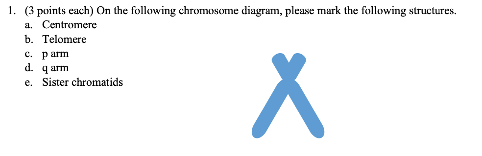 Solved 1. (3 points each) On the following chromosome | Chegg.com