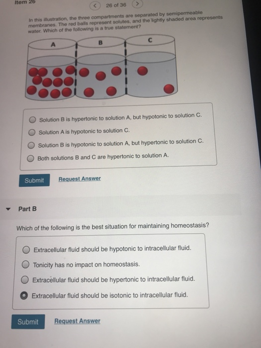 Which Of The Following Is True Of Solutions Solved Item 26 26 of 36 In this illustration, the three | Chegg.com