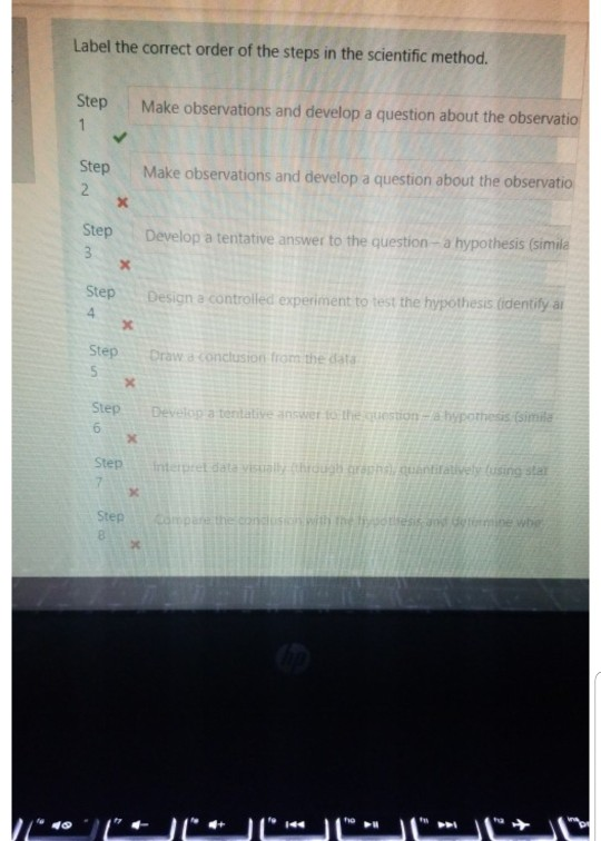 Solved Label the correct order of the steps in the | Chegg.com