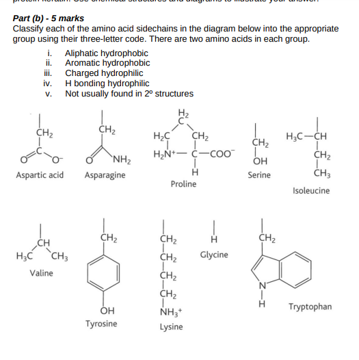 Solved Part (b) - 5 marks Classify each of the amino acid | Chegg.com