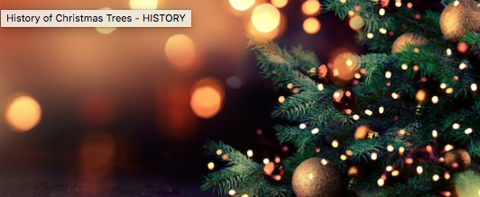 Solved History Of Christmas Trees - HISTORY | Chegg.com