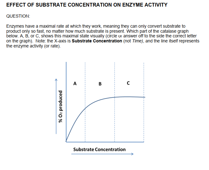 effect of enzyme concentration on enzyme activity