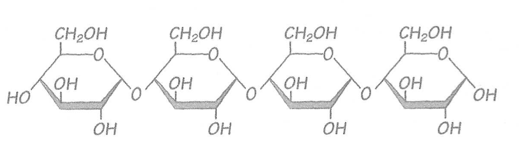 Solved Identify the Four compounds (A,B,C, and D) below as | Chegg.com