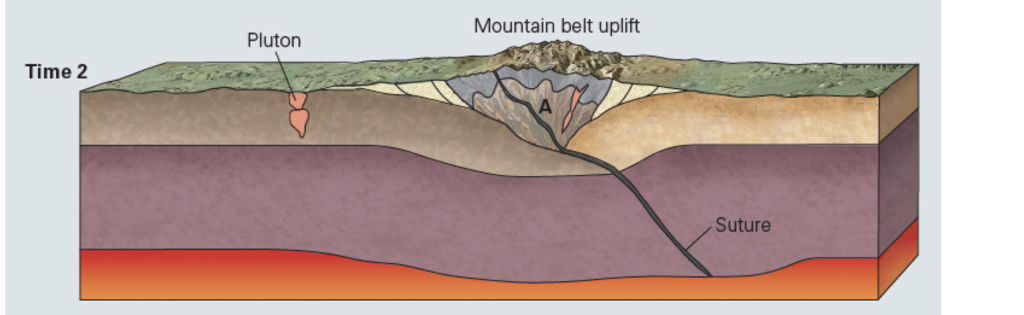 Solved: Specific Rock Types (igneous, Sedimentary, And Met... | Chegg.com