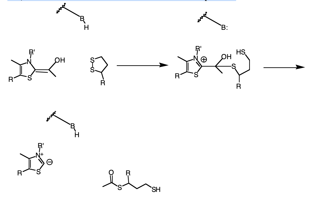 Solved The Conversion Of Glucose To Acetyl-coa Is A Critical 