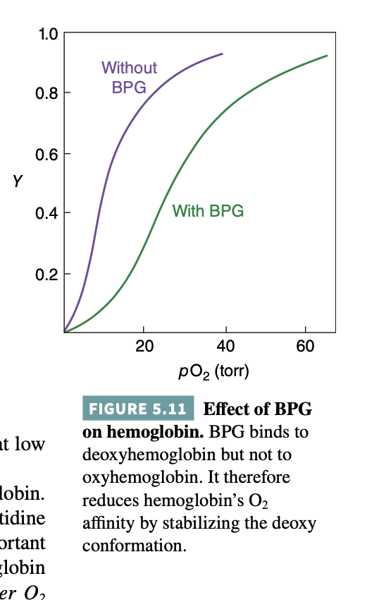 Solved what does it mean to ‘stabilize’ the deoxy form? What