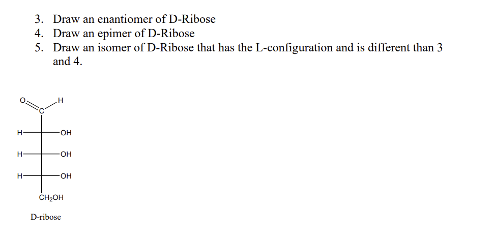 Solved 3. Draw an enantiomer of D-Ribose 4. Draw an epimer | Chegg.com