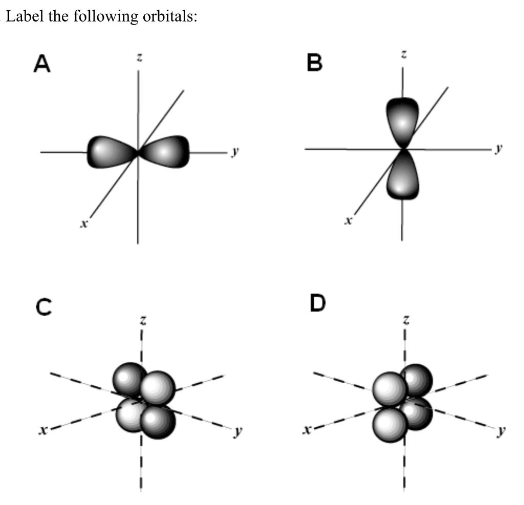 Solved Label the following orbitals: A B Y . x С D 7 | Chegg.com