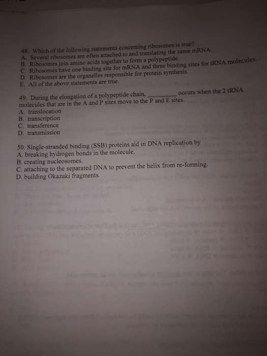 Solved 48. Which Of The Following Statements Concerning | Chegg.com Solved 48. Which Of The Following Statements Concerning | Chegg.com