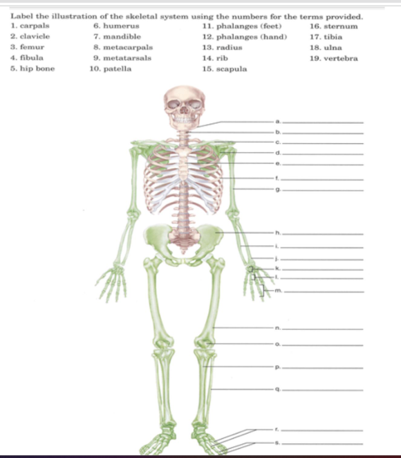 Solved Label the following illustration using the numbers | Chegg.com