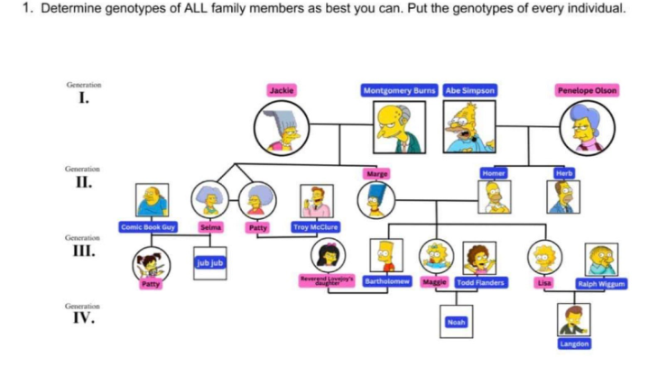 Solved 1. Determine genotypes of ALL family members as best | Chegg.com